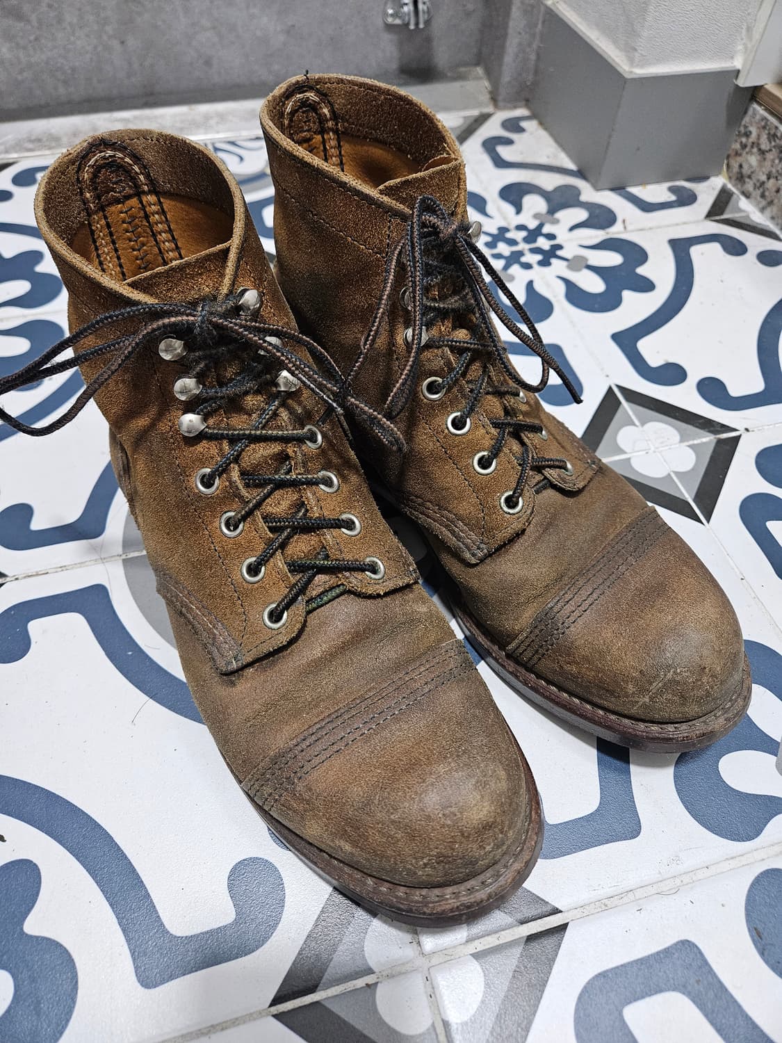 레드윙 8113 7d 판매합니다 (현품번 8083) 상품이미지2