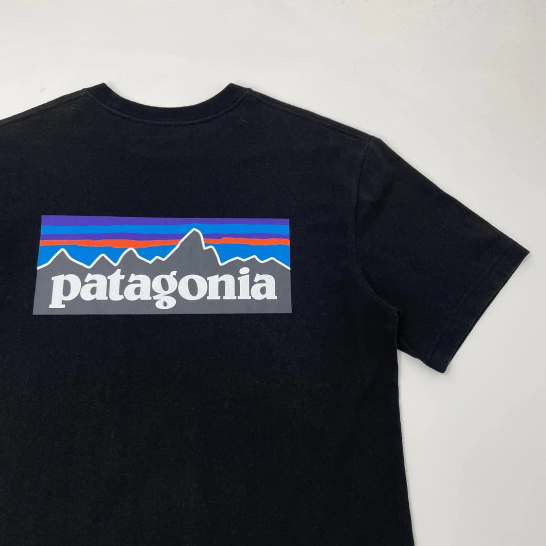 파타고니아 반팔티 상품이미지2