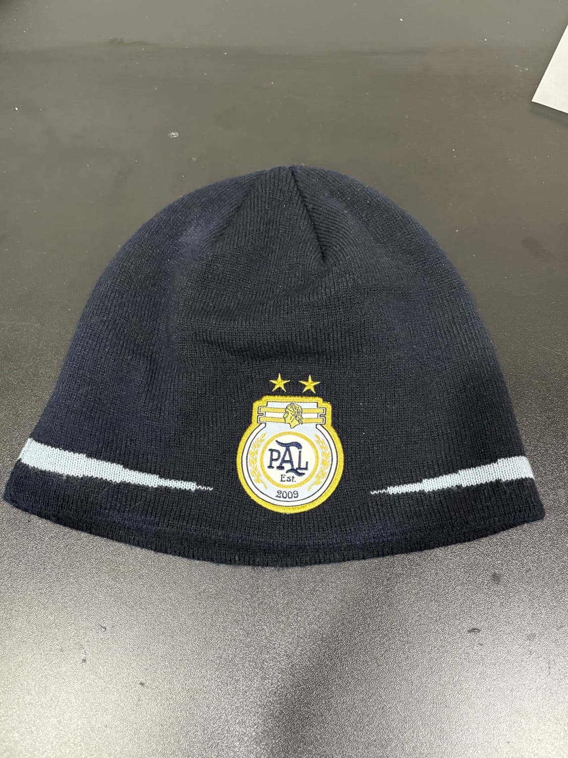 Palace 팔라스 비니 상품이미지1