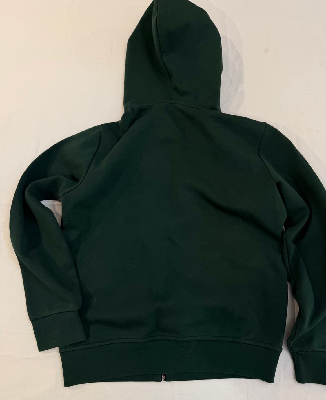 희귀컬러) 폴로 랄프로렌 신형 후드집업 말차 그린 화이트포니 상품이미지3