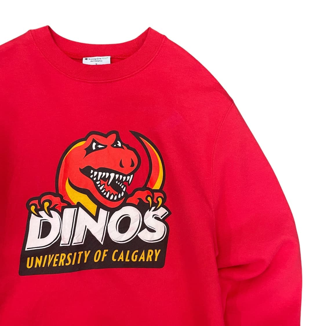 챔피온 레드 다이노스 프린팅 기모 맨투맨 스웻셔츠 S 상품이미지3
