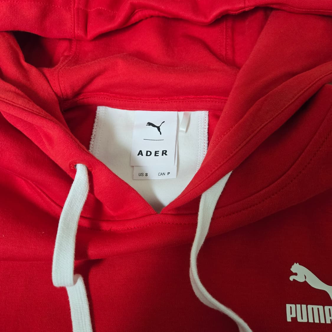 푸마 x 아더에러(PUMA x ADER ERROR)  후드 상품이미지2