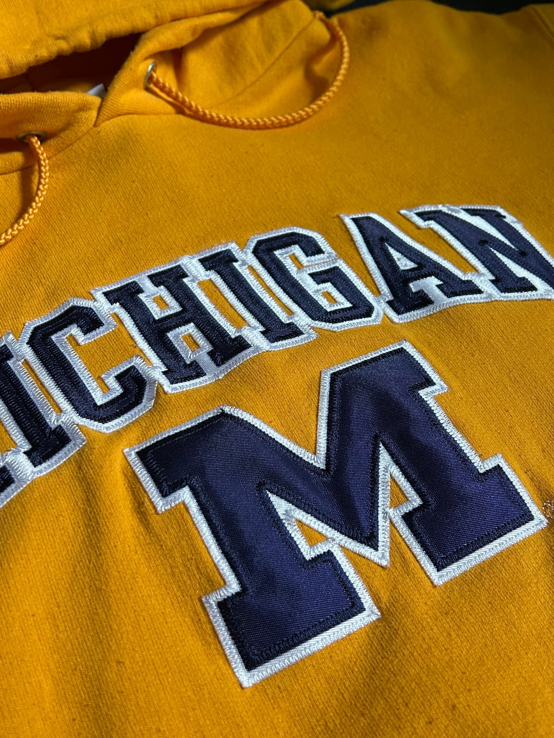 Champion Michigan Hoodie 상품이미지2