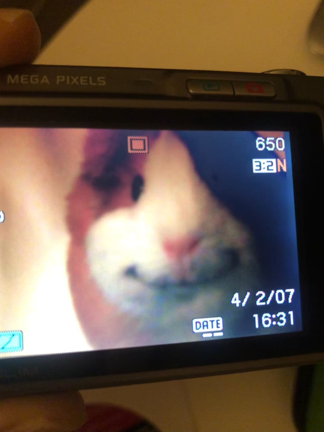 HP 포토스마트 435 빈티지디카 photosmart435 한국정발판 상품이미지4