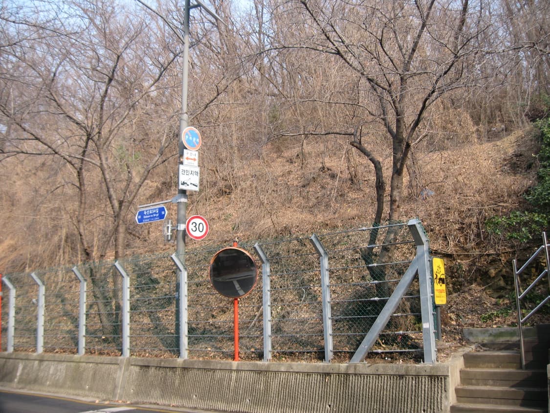 캐논 익서스ixus 900ti 디카 (빈티지 카메라) 상품이미지10