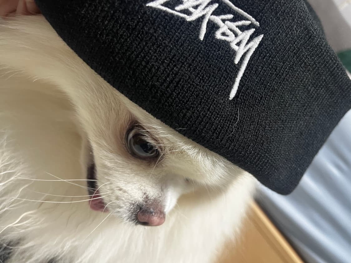 Stussy beanie 상품이미지1
