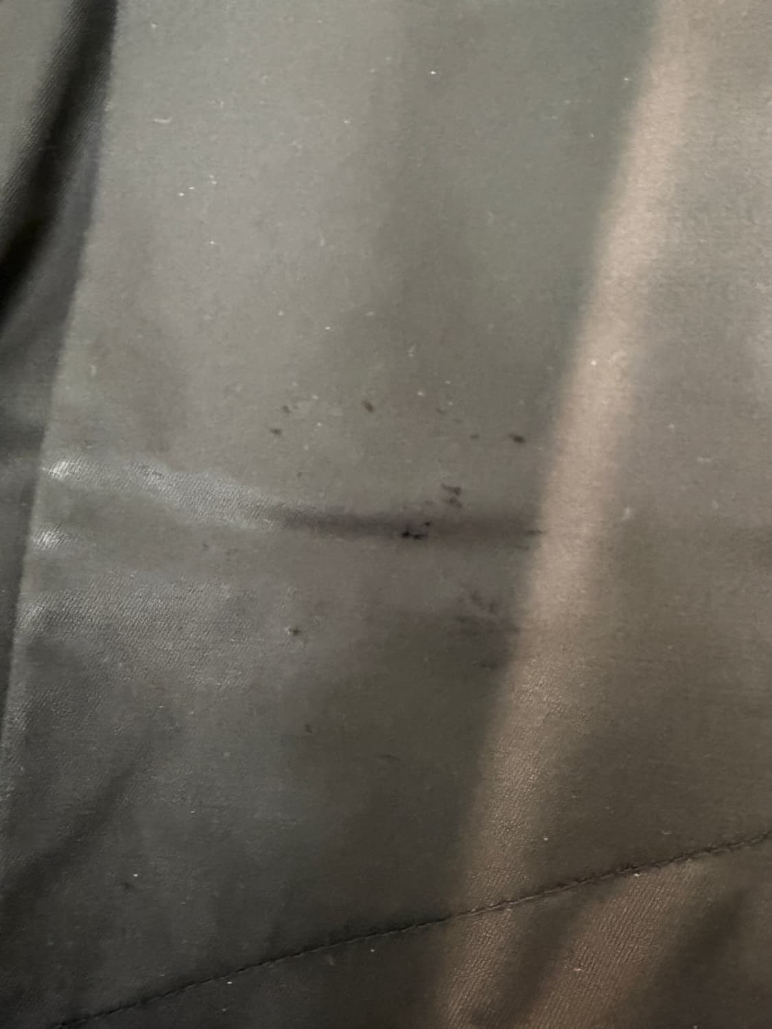 지용킴 24FW 디테쳐블 카고 팬츠 [L] 상품이미지9