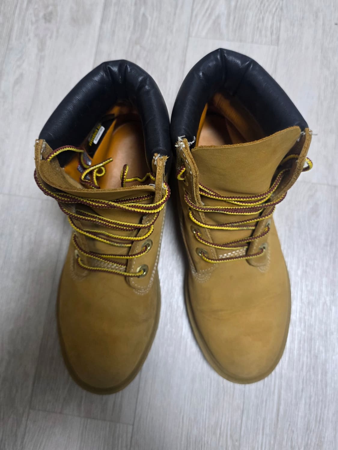 (225~230)팀버랜드 6인치 프리미엄 여성부츠 상품이미지5