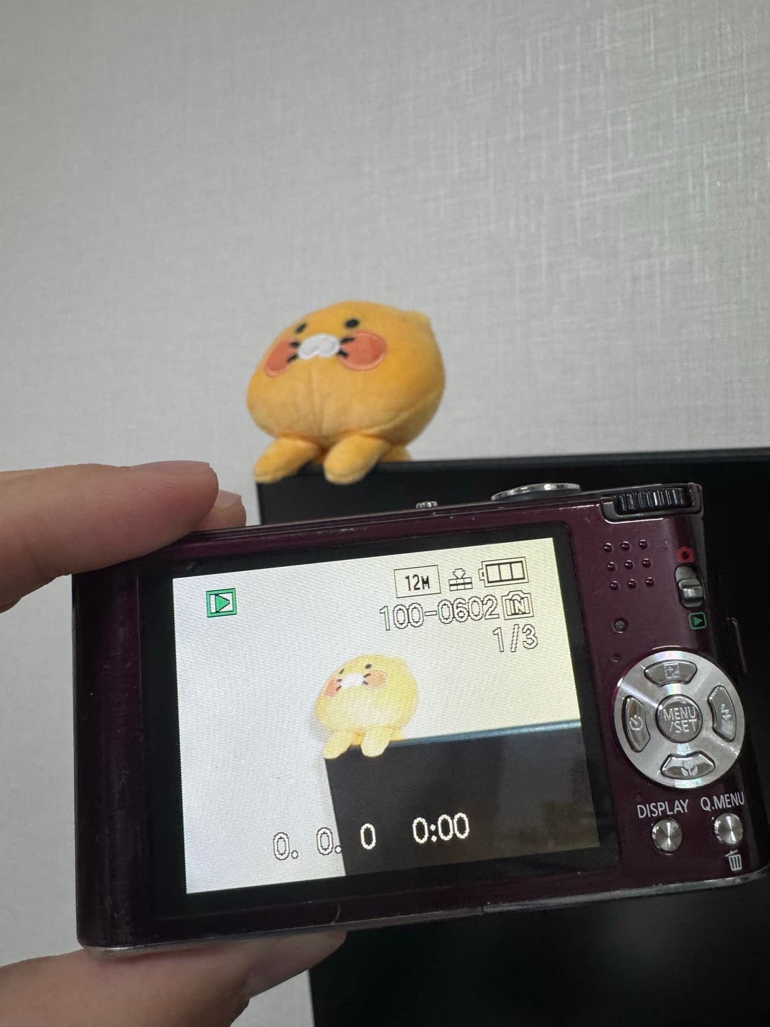 📸 파나소닉 DMC-FX60 퍼플 (희귀 컬러) 상품이미지7