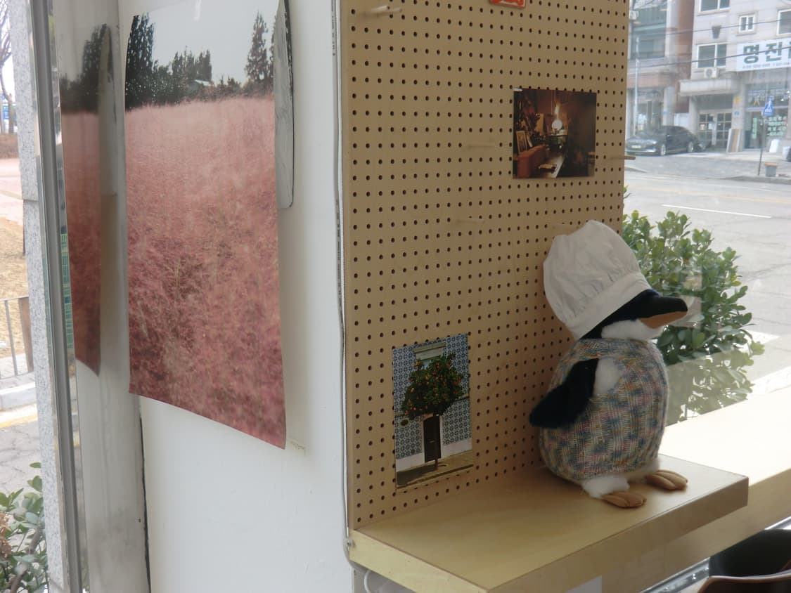 카시오 엑슬림h15 핑크 상품이미지9