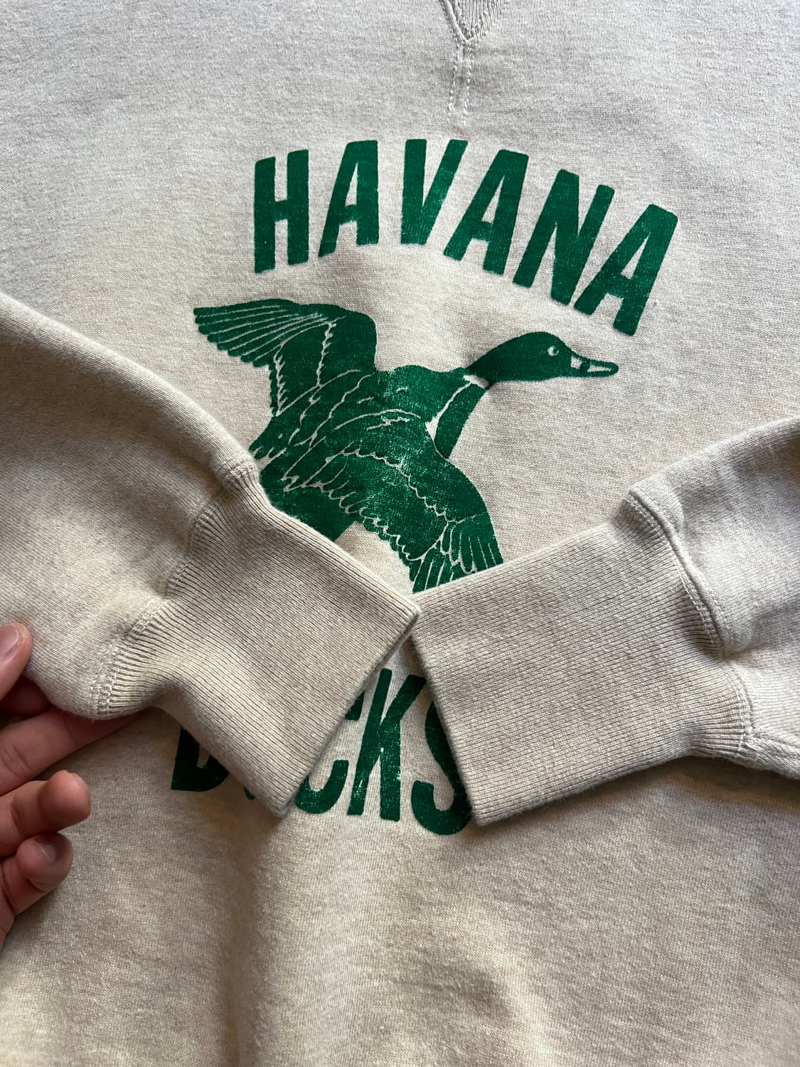 [L]Cushman 쿠시맨 HAVANA DUCKS 스웻셔츠 상품이미지4