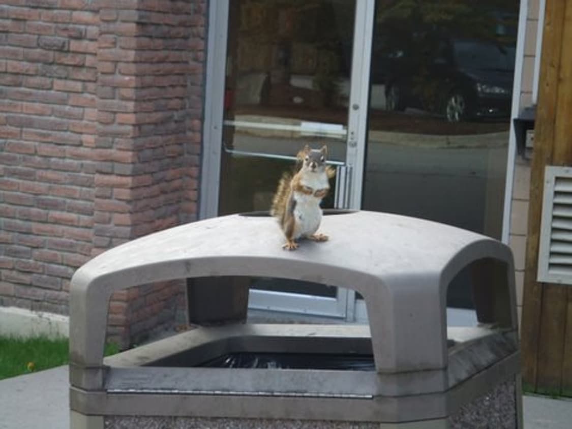 후지필름 fujifilm finepix z1 빈티지 디카 (mint) 상품이미지8