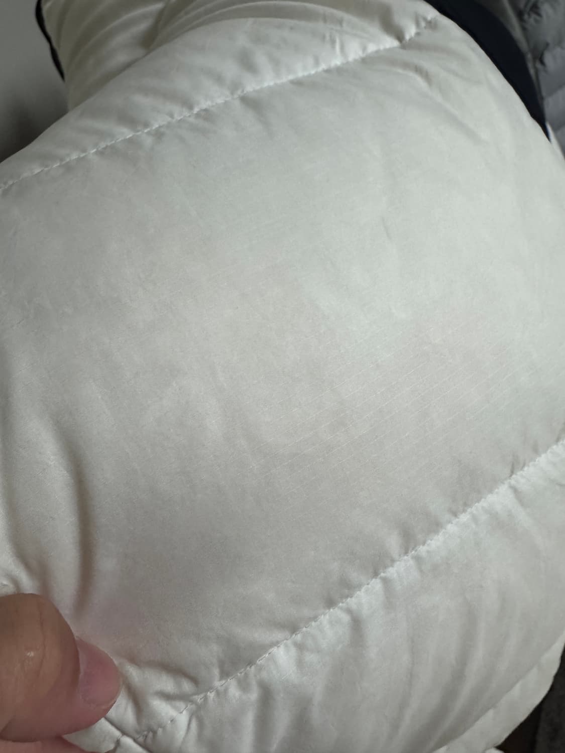 노스페이스 1996 에코 눕시 화이트 m 상품이미지4