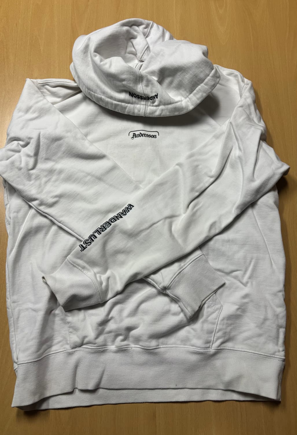 앤더슨 벨 Andersson bell 월드투어 후드티 상품이미지1