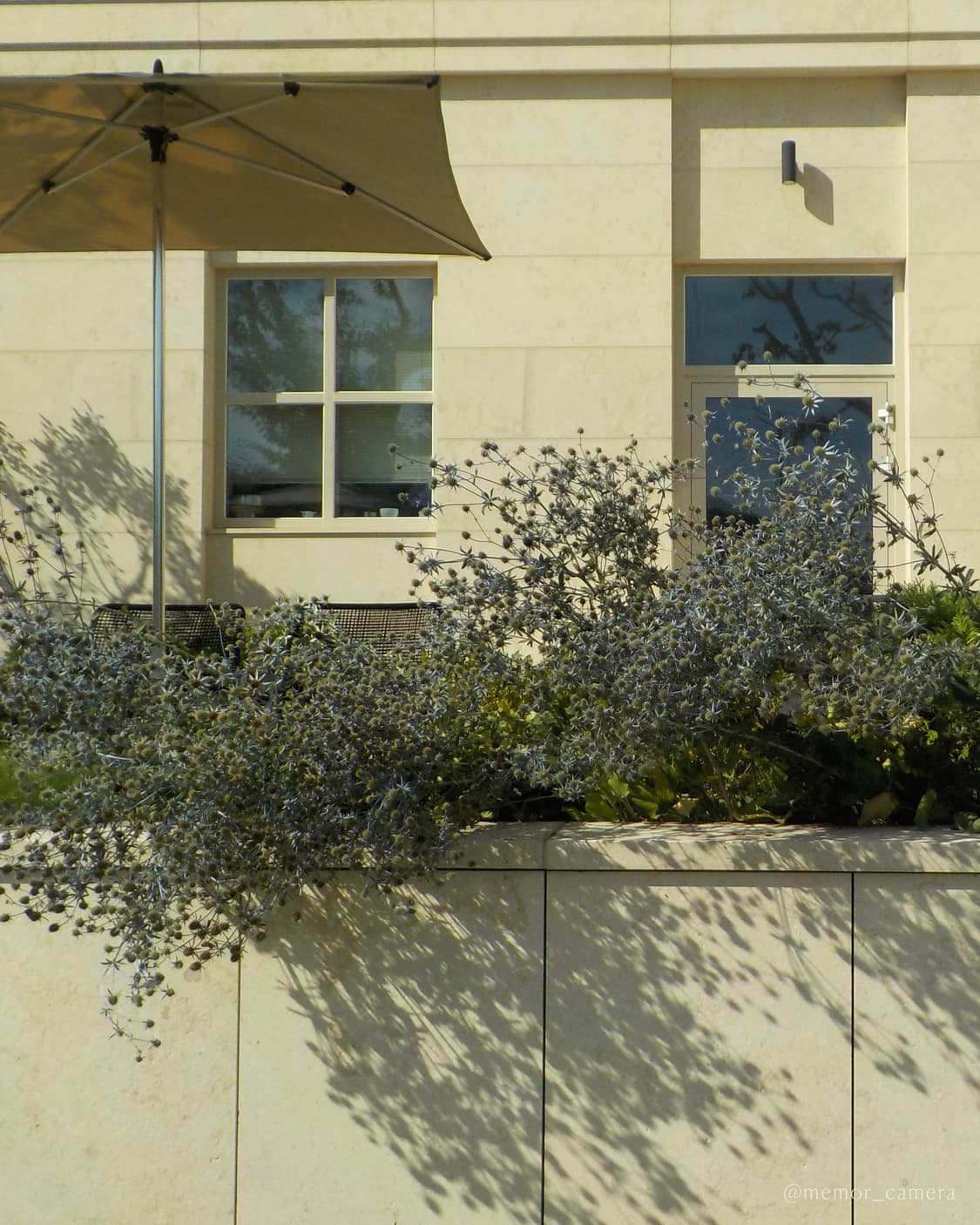 인기모델/찰스엔터님픽🫧Nikon COOLPIX W100 니콘 디카 상품이미지9