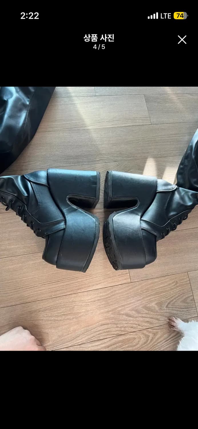 데모니아 카멜300 무광 245 상품이미지4