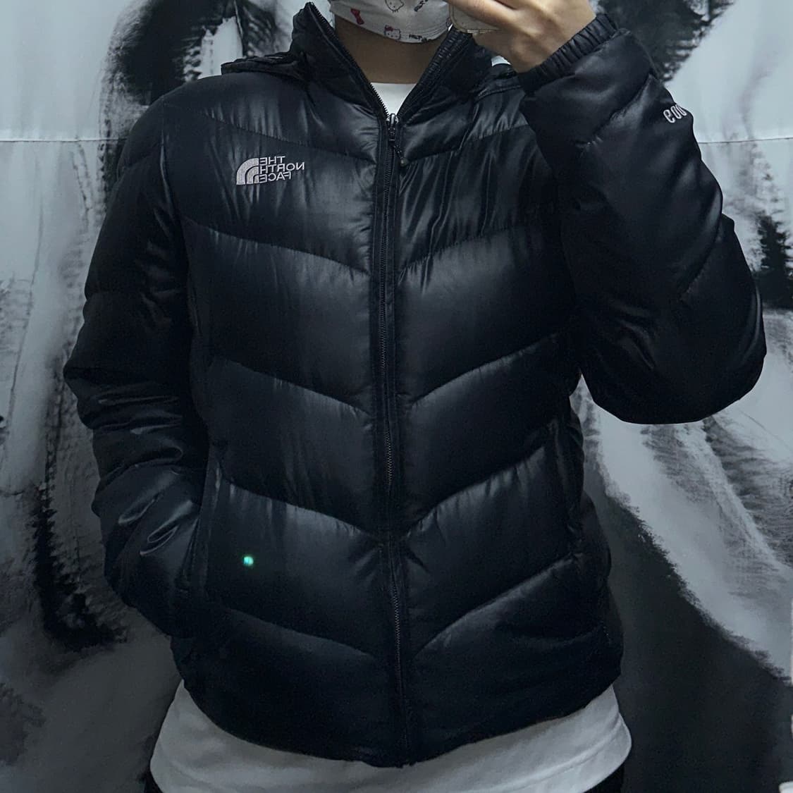 노스페이스 600 고프고어 후디 다운패딩 상품이미지1