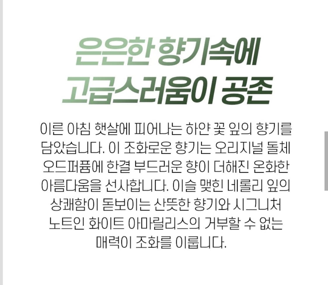 돌체앤가바나 플로랄 드롭스 EDT 75ml 상품이미지3