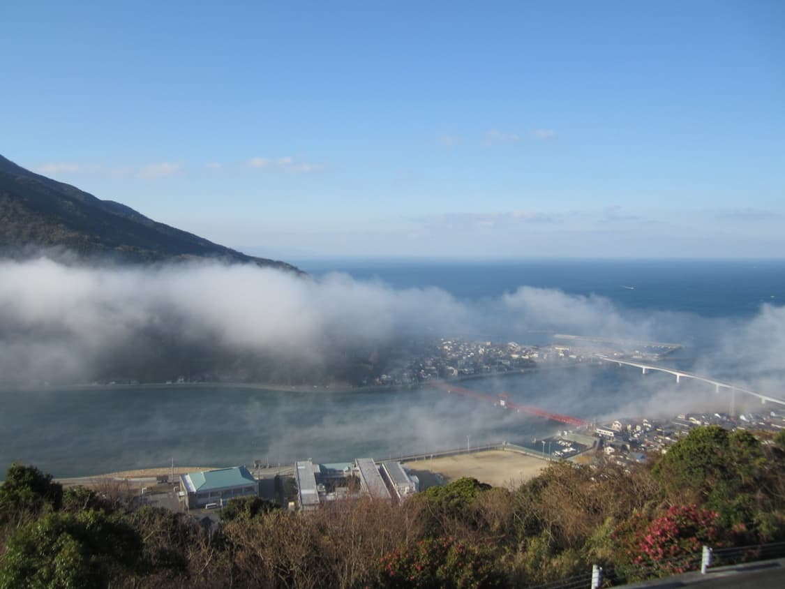 캐논 익서스 Canon IXUS 115 HS 핑크 상품이미지3