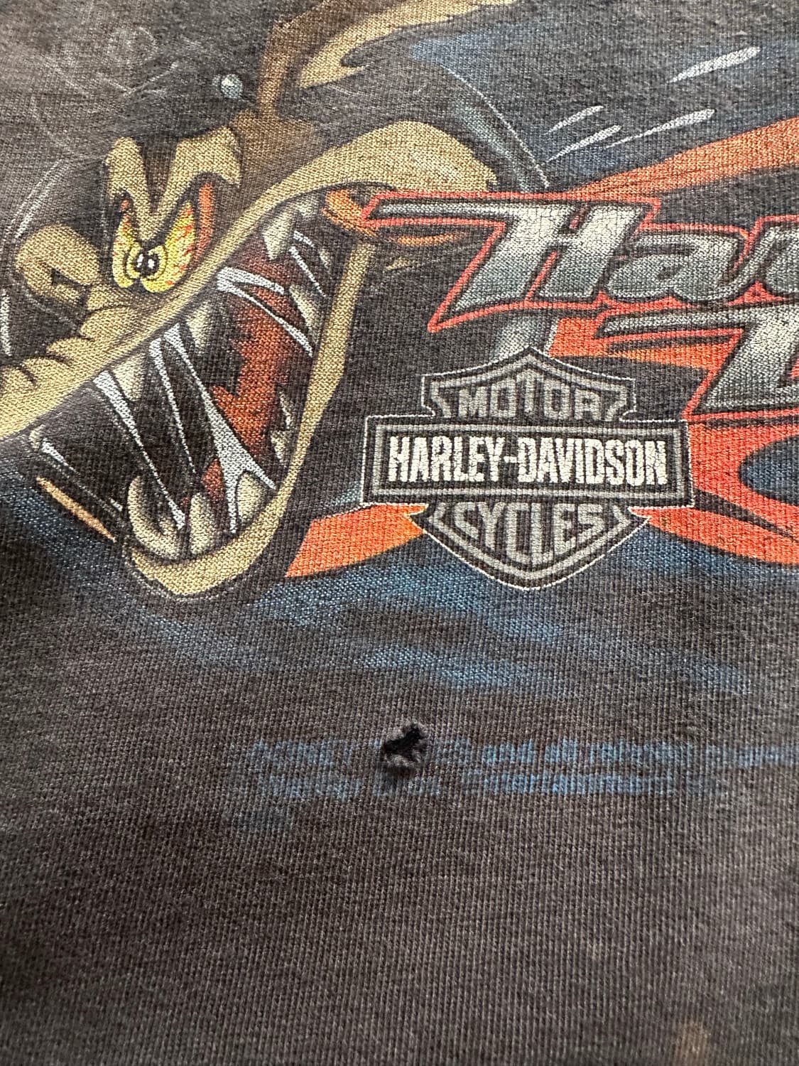 할리데이비슨 x 루니툰즈 '와일드 코요테' 파이어 롱슬리브 - 4XL 상품이미지4