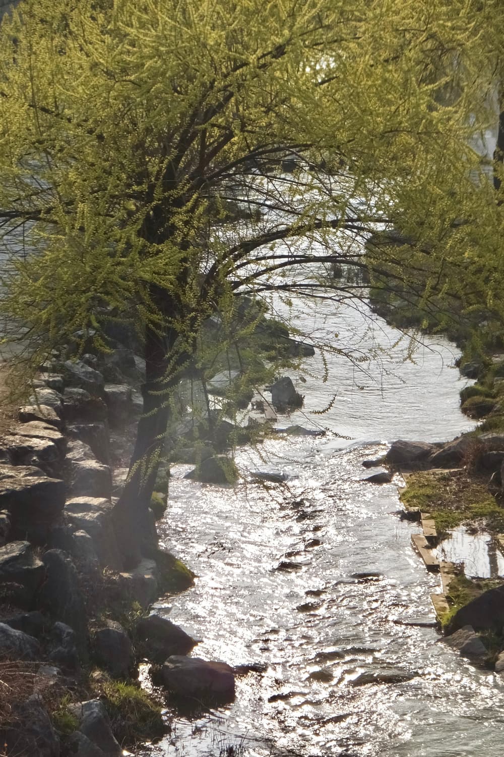 fujifilm 카메라 f900exr (작례) 상품이미지10