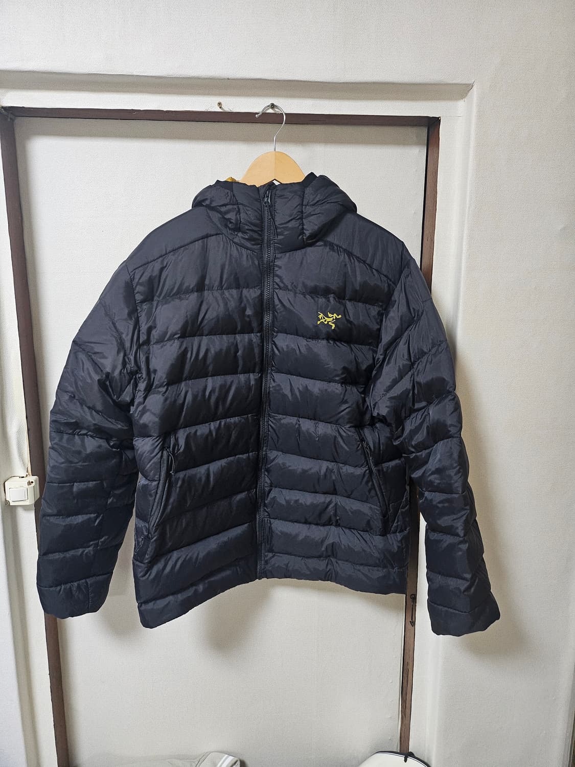 아크테릭스 토륨 후디 24k L사이즈 상품이미지1