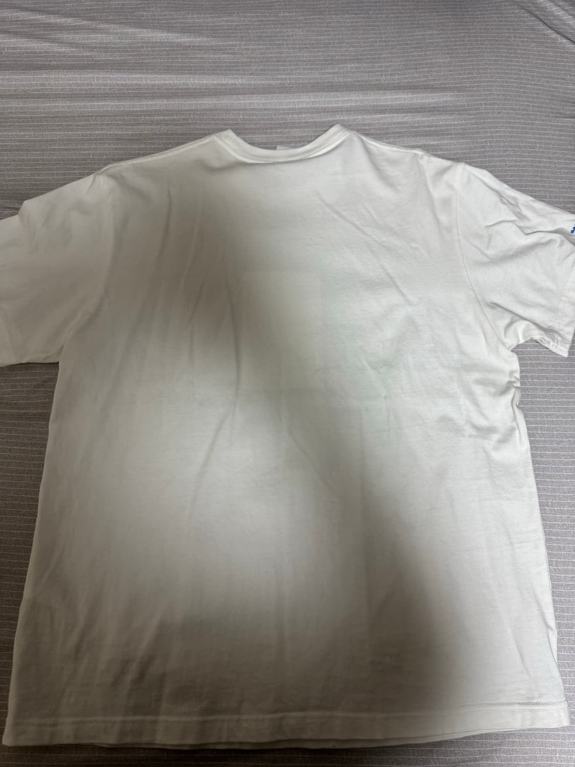 산산기어 오아시스 상품이미지2