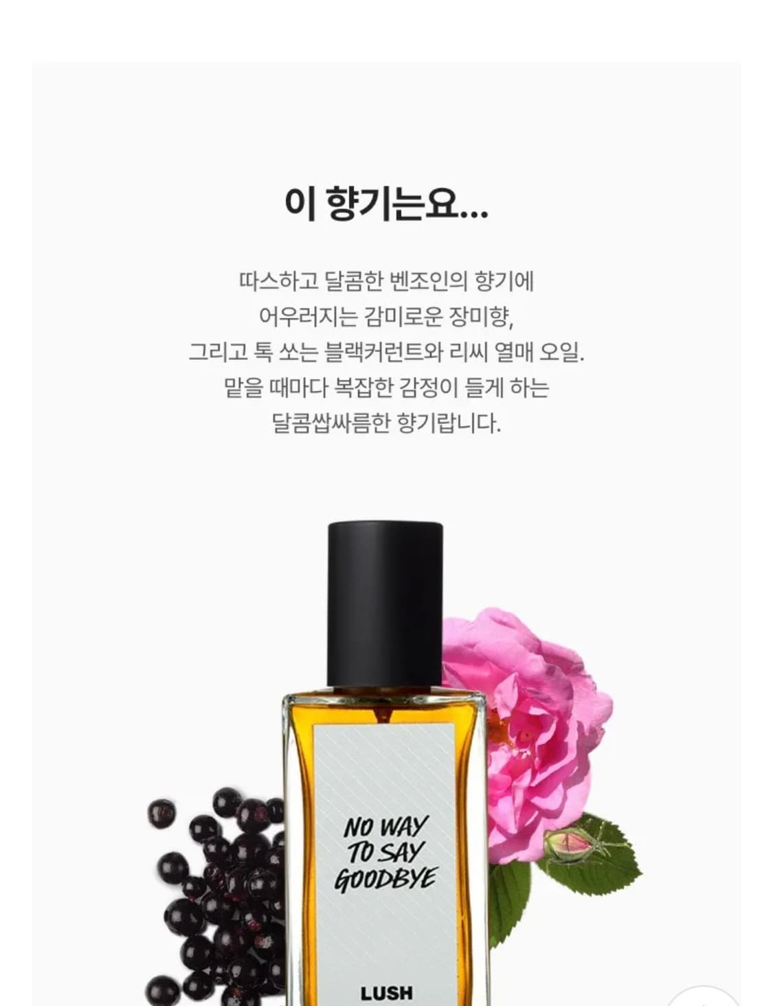 [백화점국문]러쉬 노웨이투세이굿바이 퍼퓸향수30ml 상품이미지4