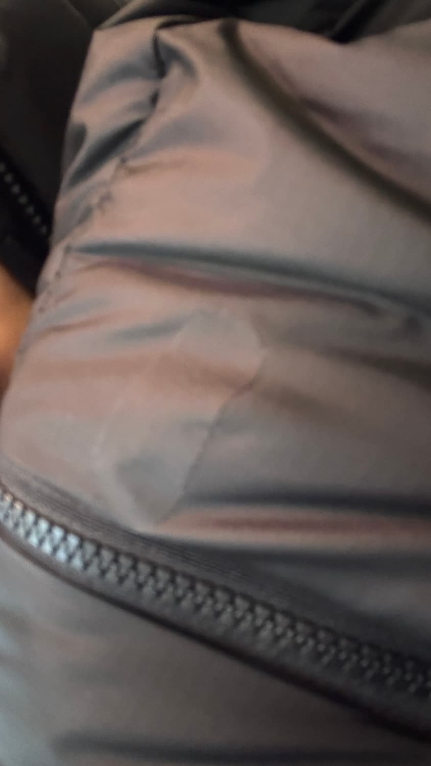 노스페이스 화이트라벨 프로젝트 다운패딩 L 상품이미지2