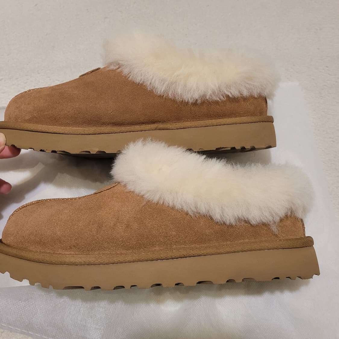 어그 타제트 슬리퍼 240 상품이미지3