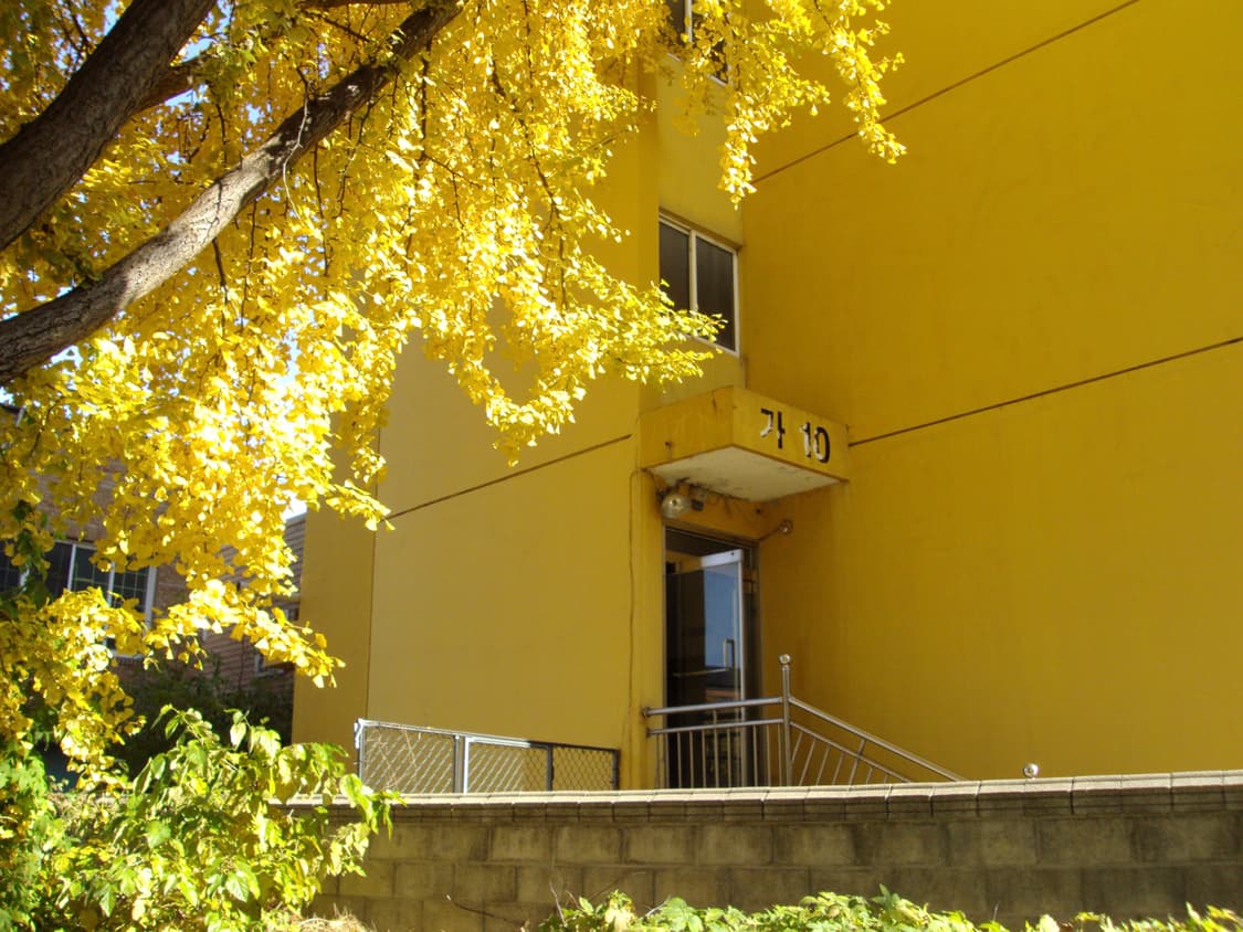 작례 미침 소니 dsc-s950 디카 상품이미지2