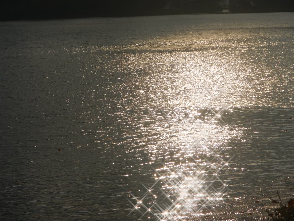 니콘 쿨픽스 aw100 카모 디카 상품이미지8