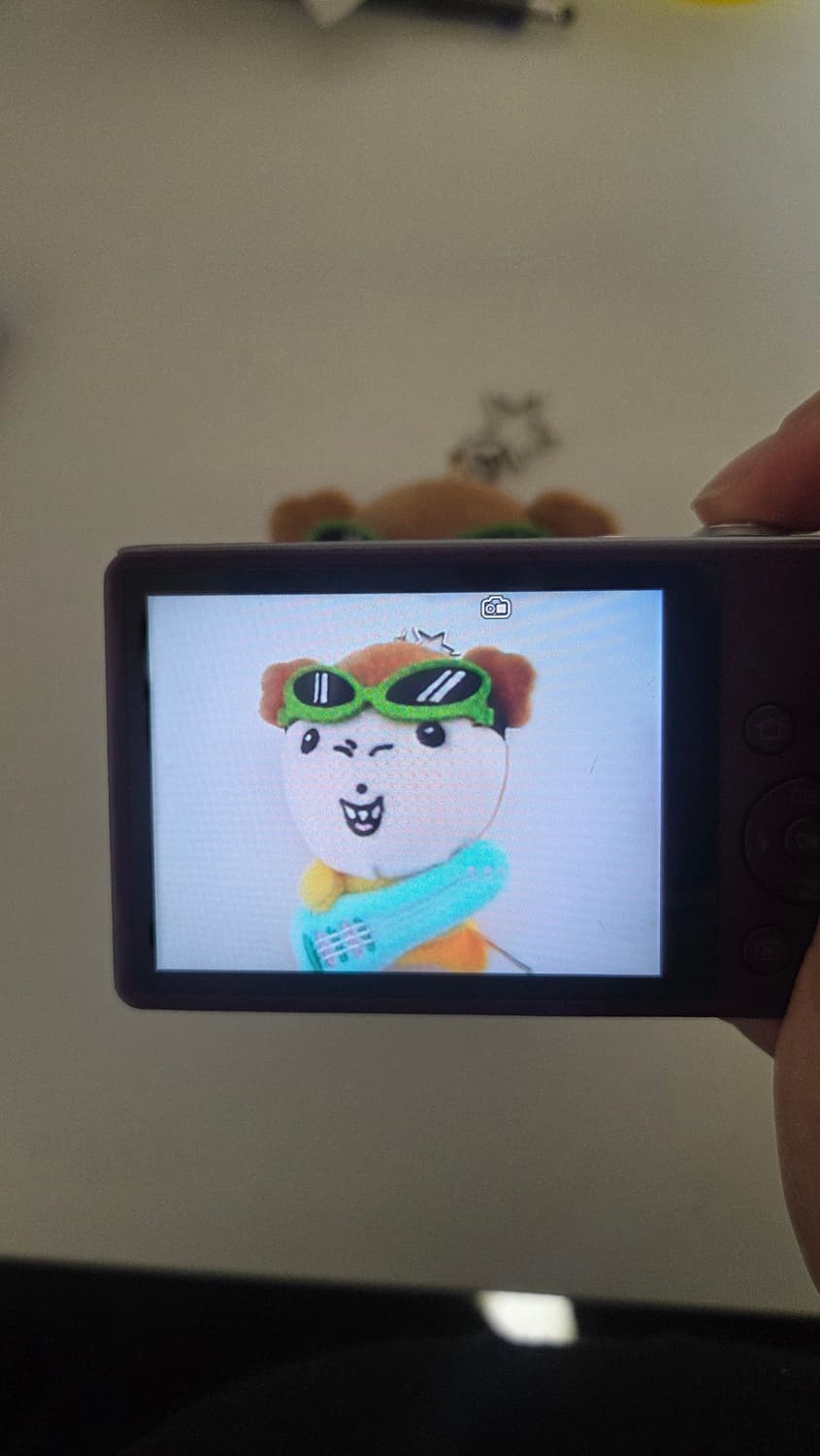 셀카 화면) 삼성 DV300F 한효주 디카 디지털카메라 상품이미지3