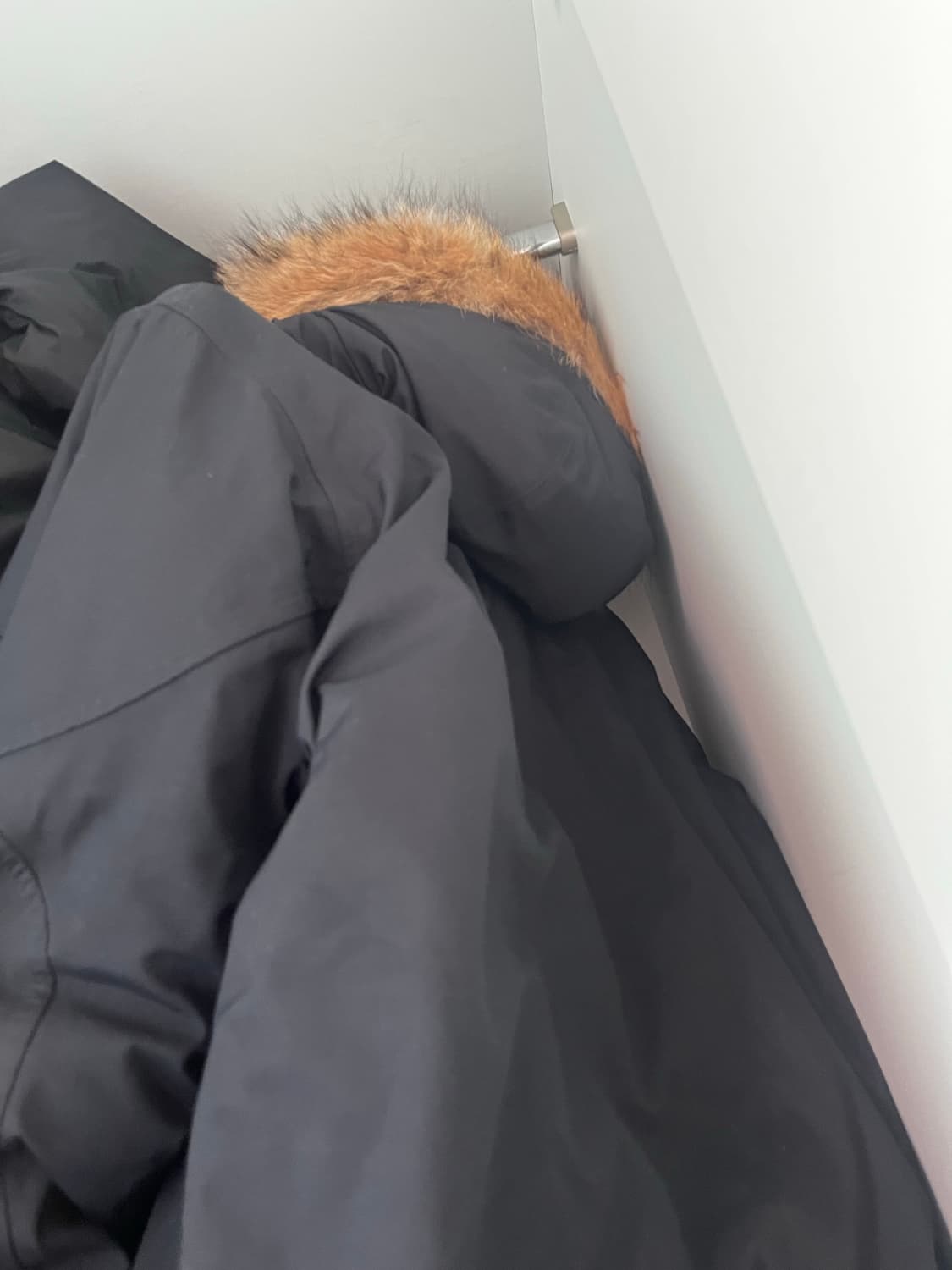 울리치 그리핀 한정판 콜라보 패딩 상품이미지4