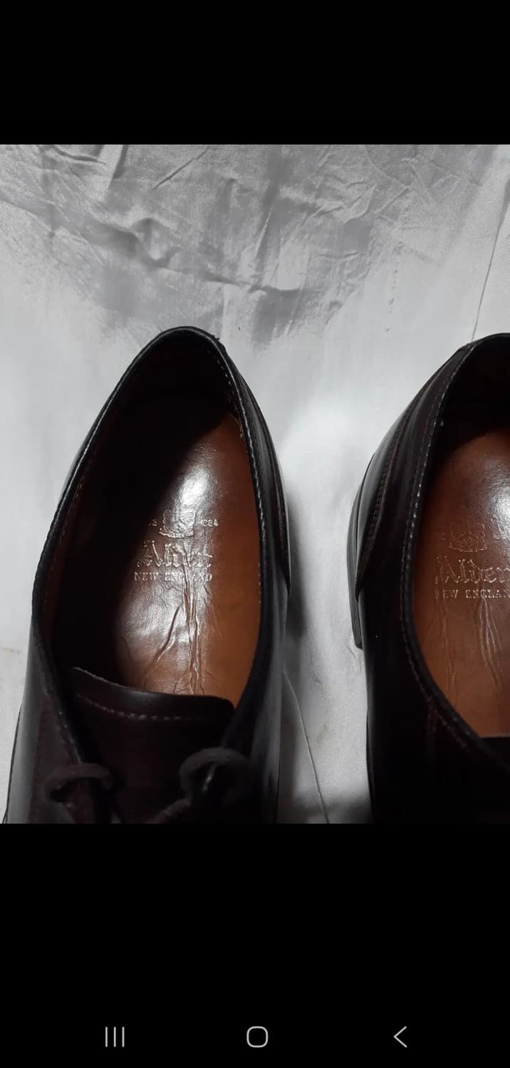 [판매] Alden 973 알든 973 카프 스트레이트 팁 블러처 8d 상품이미지8