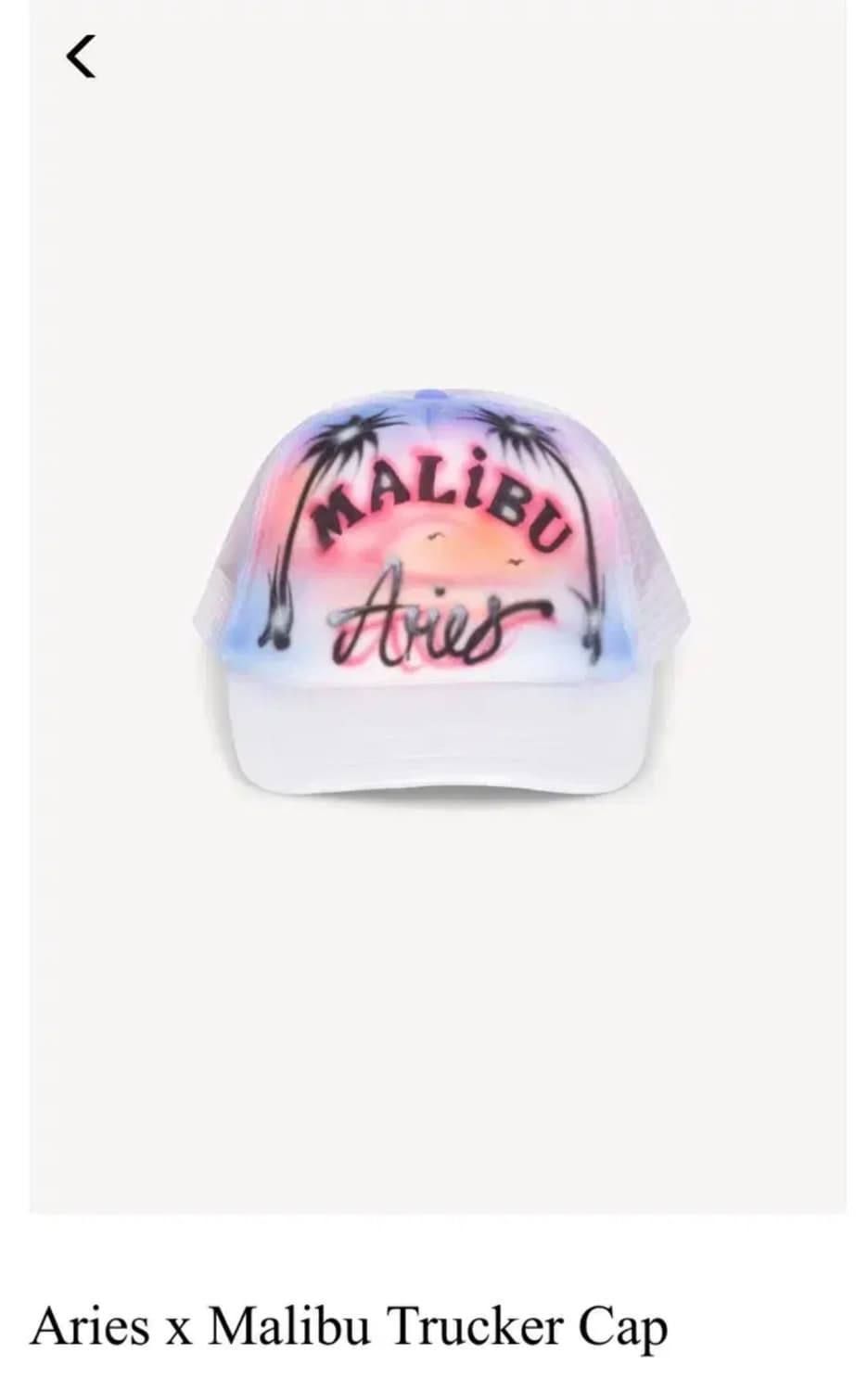Aries 말리부 볼캡 상품이미지1