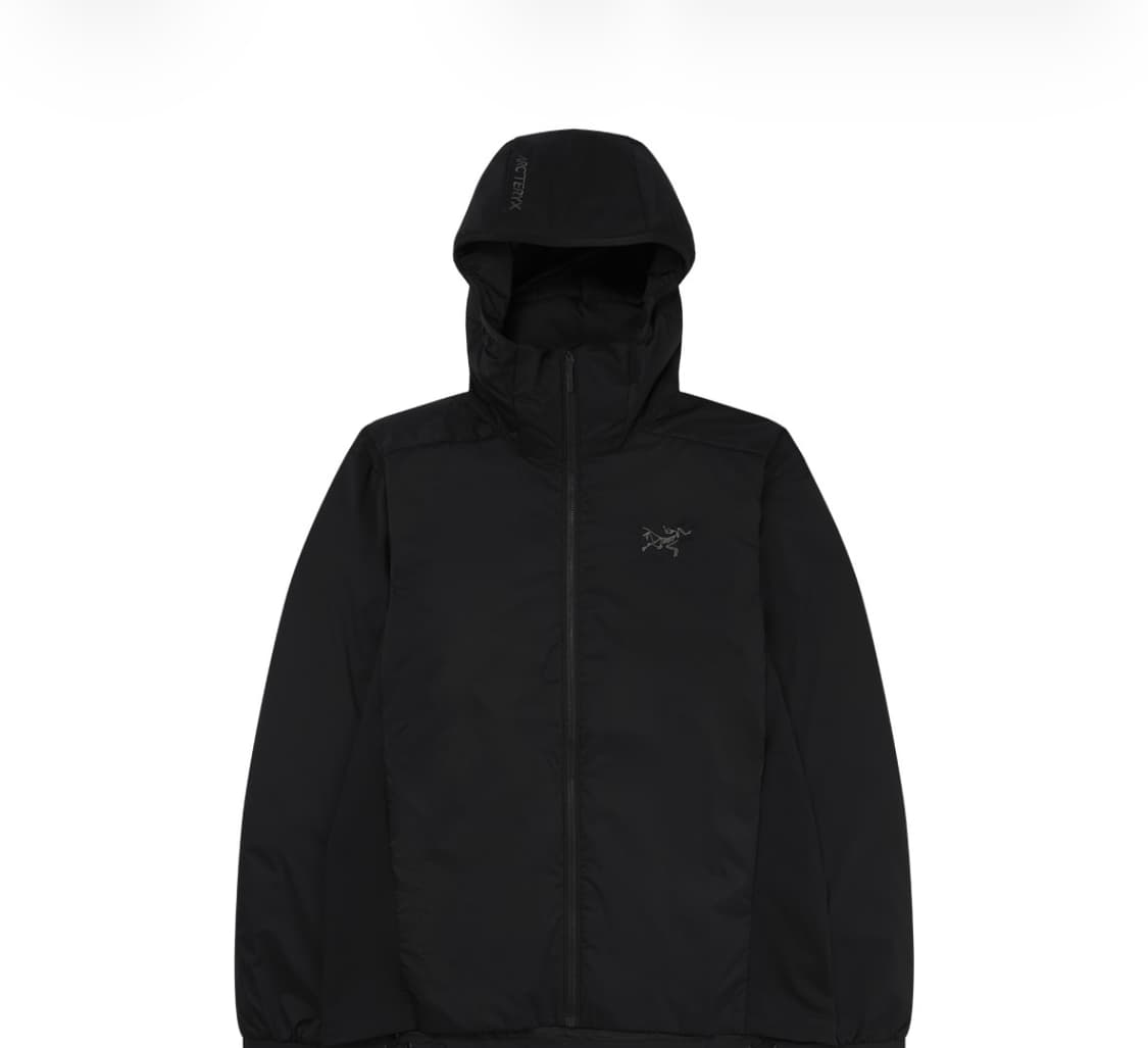 아크테릭스 아톰 후디 상품이미지1