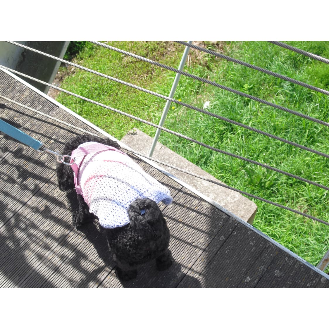 Casio 카시오 엑슬림 exilim EX-S5 디지털 카메라 상품이미지10