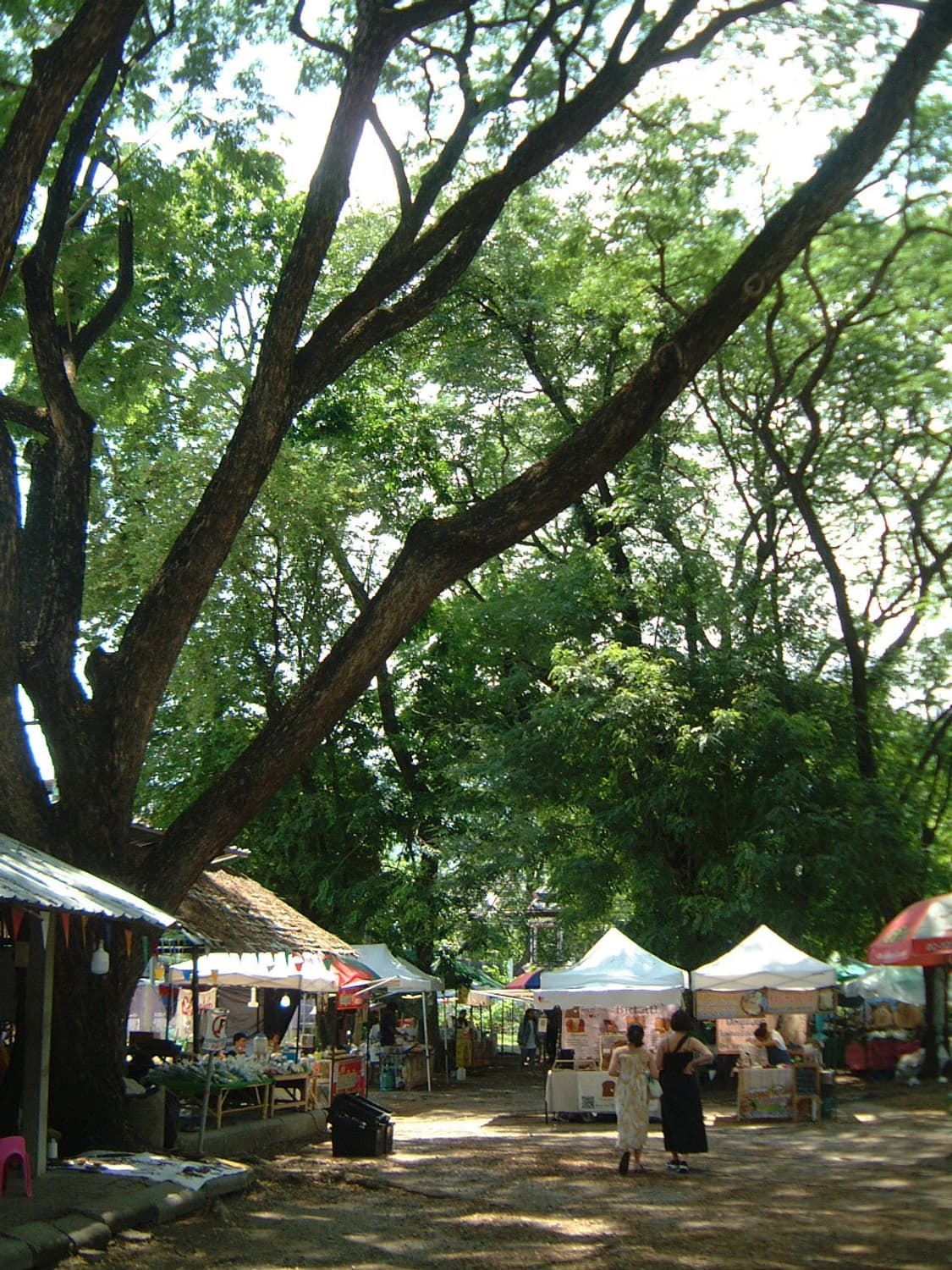 빈티지디카의 정석 후지필름 4700z 상품이미지7