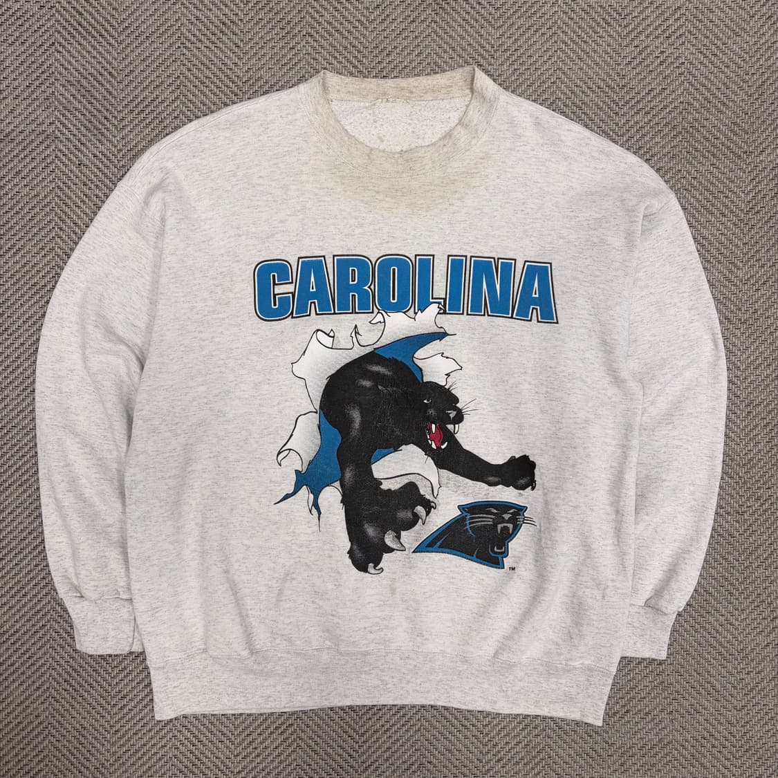 90s 캐롤라이나 팬서 스웻셔츠 v1059 상품이미지1