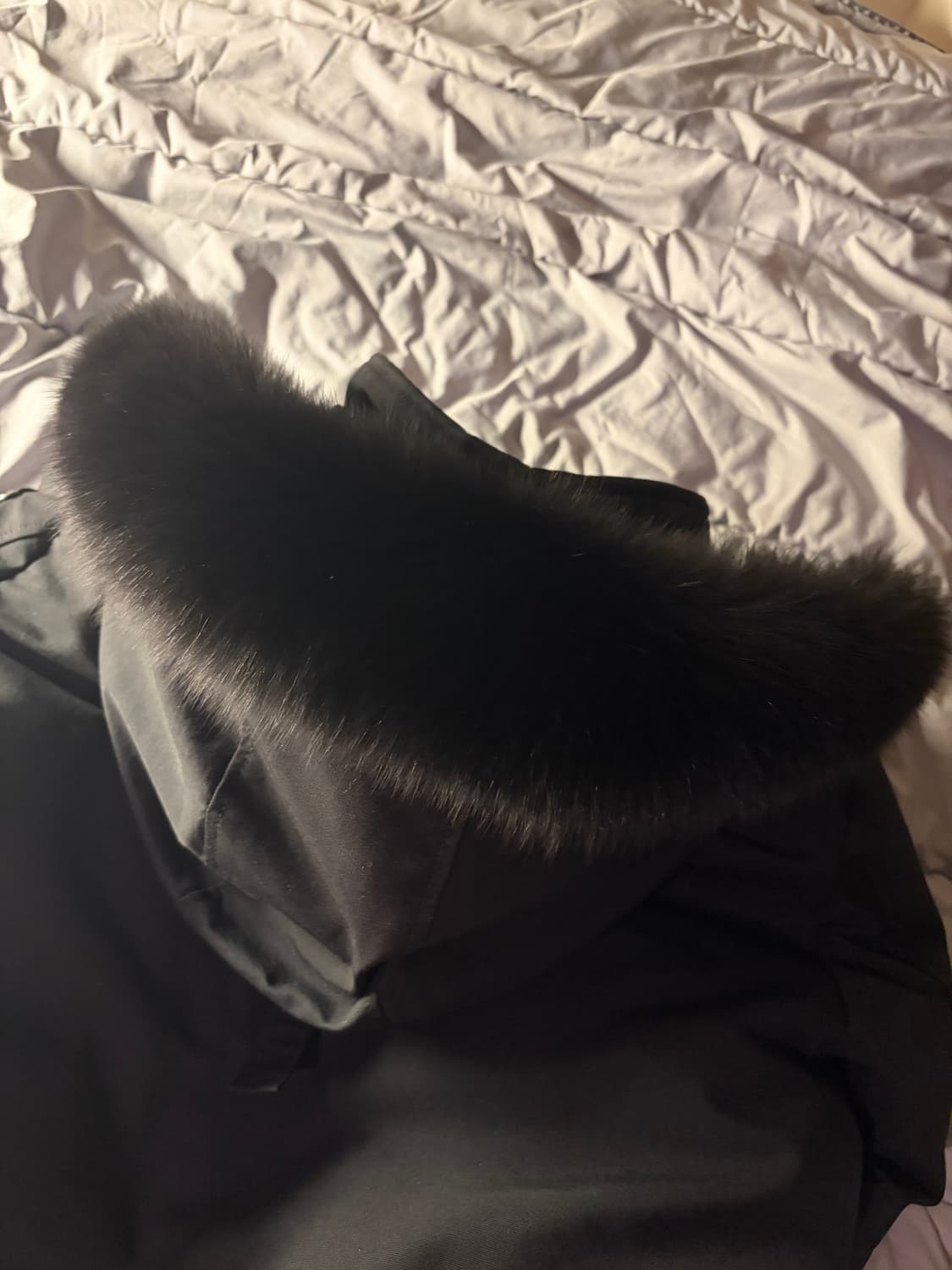 (22 f/w) 무스너클 발리스틱 (s) 상품이미지5