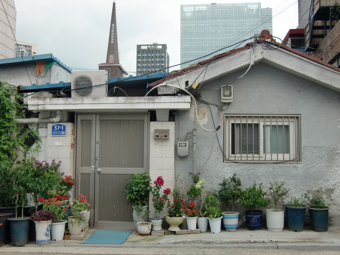 카시오 H10 판매합니다(풀박스,작례있음) 상품이미지6