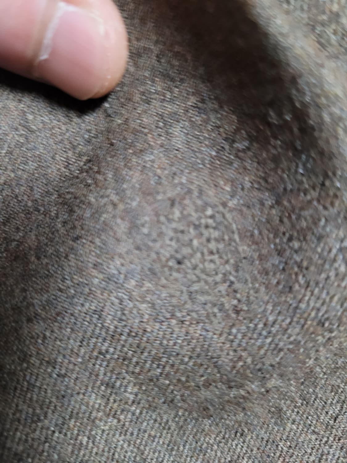 제이프레스 울 투턱 팬츠 상품이미지7