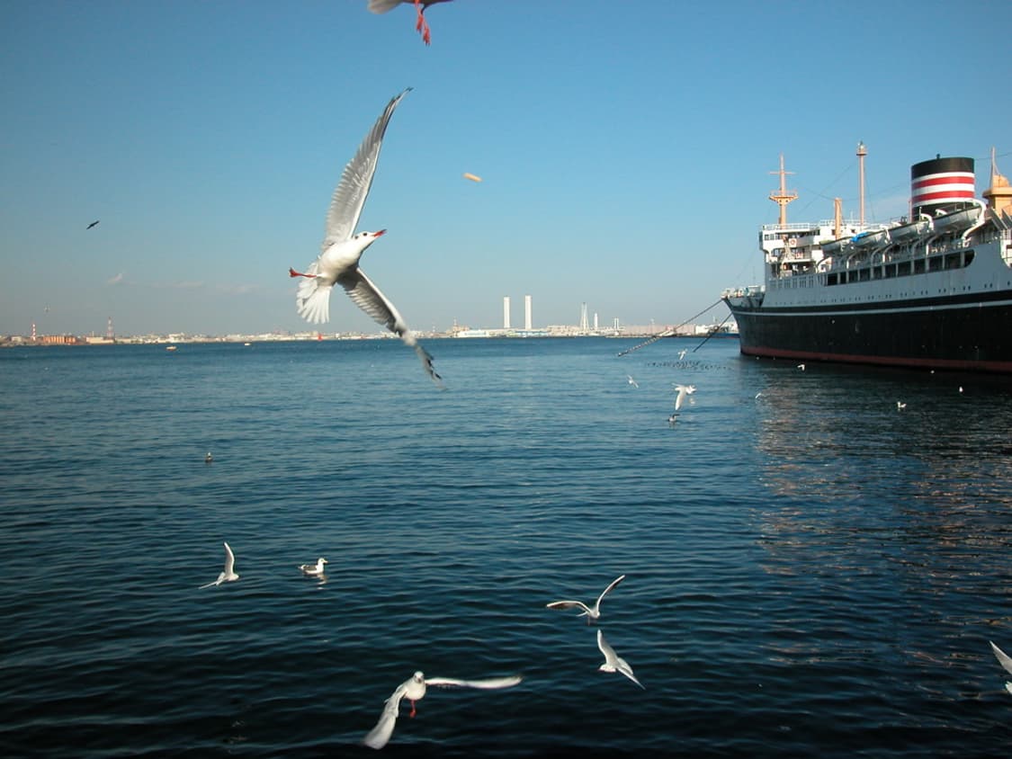 니콘 쿨픽스 Nikon COOLPIX P5100 블랙 상품이미지3