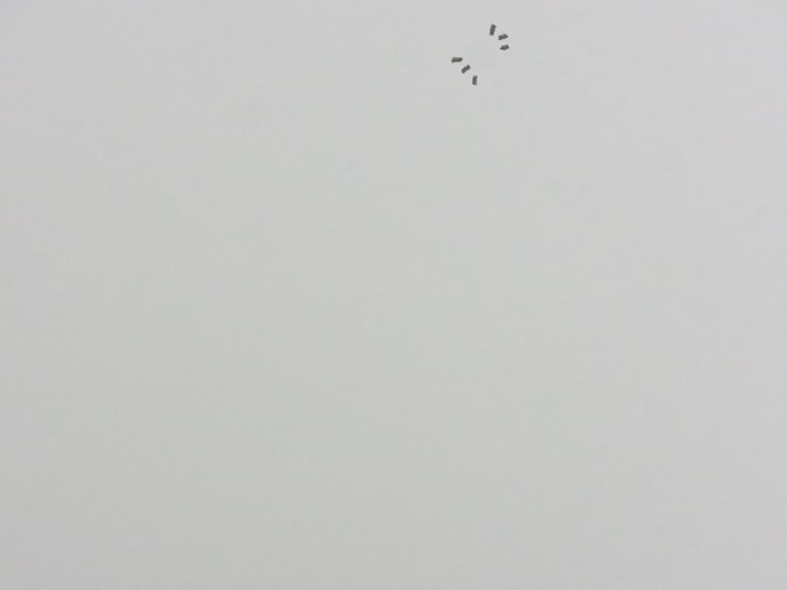 [개인결제창] 3308. RICOH CX5 PINK 상품이미지5