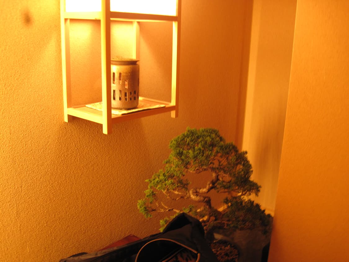 캐논 익서스 980 IS 빈티지 카메라 상품이미지6