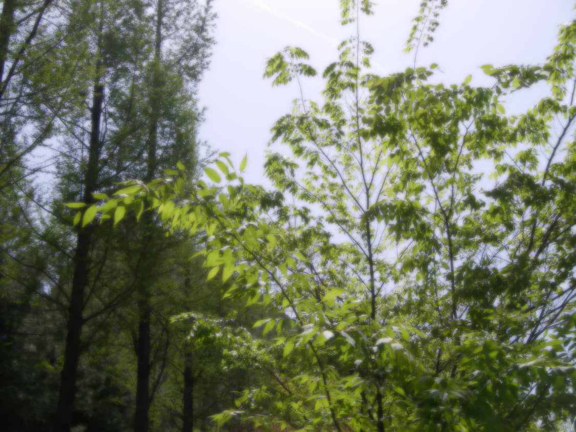 작례있음🌟 Pentax Optio Wpi 상품이미지7