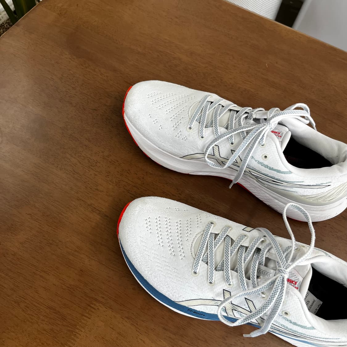 아식스 젤카야노 29 290mm 상품이미지3