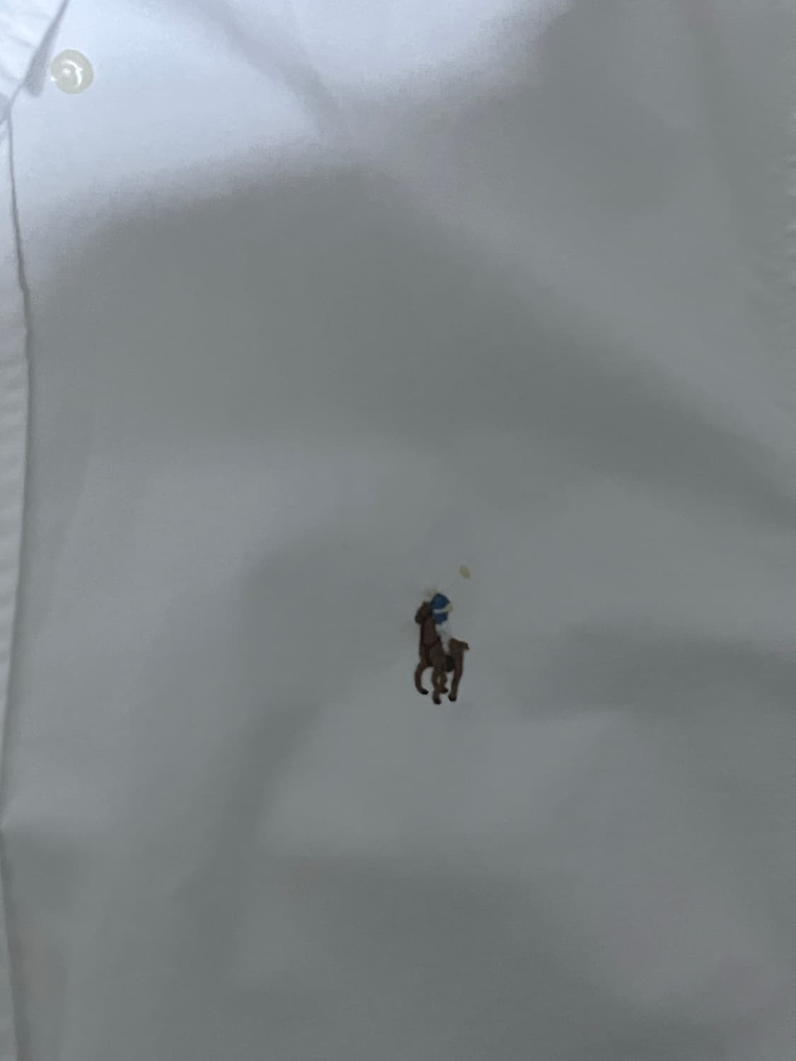 폴로 반팔셔츠 m  상품이미지2