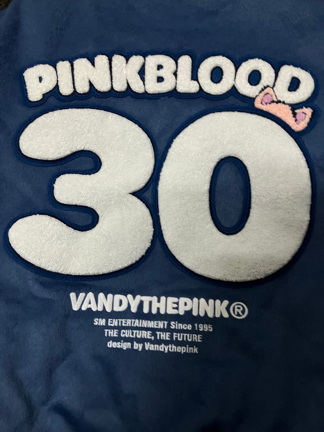 반디더핑크 X SM 바시티 자켓 상품이미지8